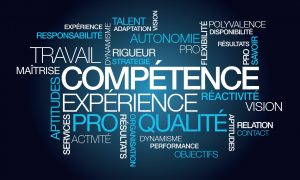 qualités professionnelles